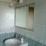 La Ginestra Gialla 3*